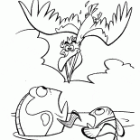 Chasse Pelican