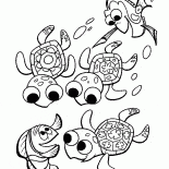 Tortues sous-marines