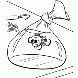 Nemo dans le paquet