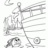 Trop de bateaux