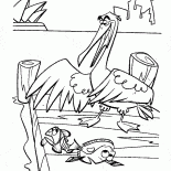 Chasse Heron