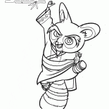 Maître Shifu