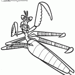 Maître Mantis
