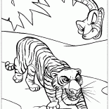 Shere Khan et Kaa