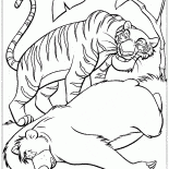 Tiger Sly et Baloo