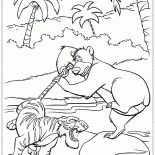 Bataille de Shere Khan et Baloo