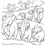Un troupeau déléphants