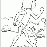 Mowgli voyager en toute sécurité