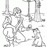 Biscuits pour le raton laveur