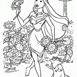 Amis Pocahontas