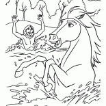 Cheval de baignade