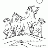 Prairie Tribe