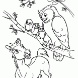 Hibou et Esprit