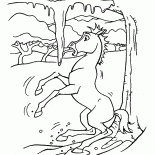 Premier hiver Esprit