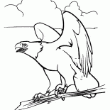 Aigle et Esprit