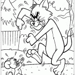 Sparring Tom et Jerry