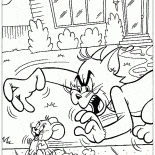 Tom Jerry attrape