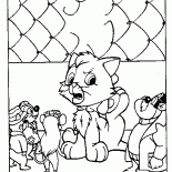 Kitten en difficulté