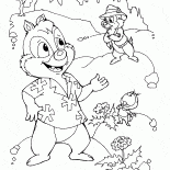 Chip et Dale dans la forêt