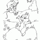 Dale, Zipper et Gadget