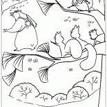 Les écureuils et les ours