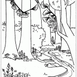 Forêt dense
