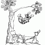 Tigres ne volent pas