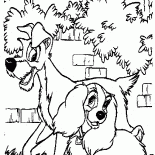 Belle et le Clochard prendre une marche