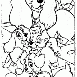 Les chiots et maman