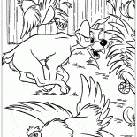 Tramp et les poulets