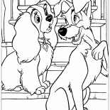 Communication des amis fidèles