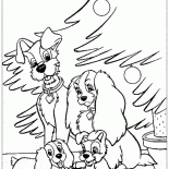 Chiots et les chiens