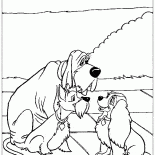 Dame et les amis de lTramp