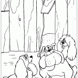 Chiens errants