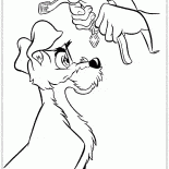 Collier pour le Clochard