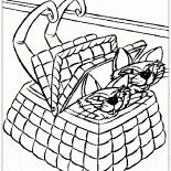 Chats dans le panier