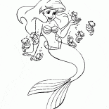 Ariel et hippocampes