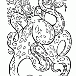 Big Octopus