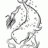 Baleine dans locéan