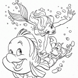 Flet Sebastian et The Little Mermaid