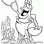 Sebastian du Crabe