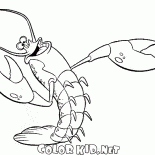 Chanter crevettes