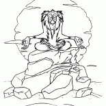 Rafiki au coucher du soleil