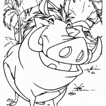 Timon et Pumba