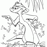 Philosophe-suricate