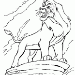 Simba sur le rocher