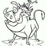 Timon et Pumba