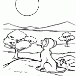 Simba et le soleil