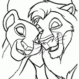 Aimer Lions