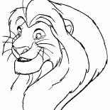 Simba a grandi